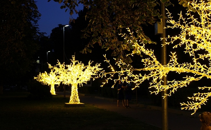 Светящиеся деревья «посадили» около Автозаводского парка