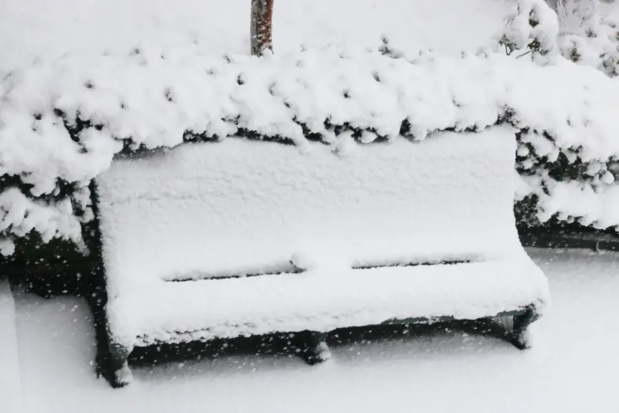 Нижегородская Госжилинспекция назвала вывоз снега из дворов необязательным