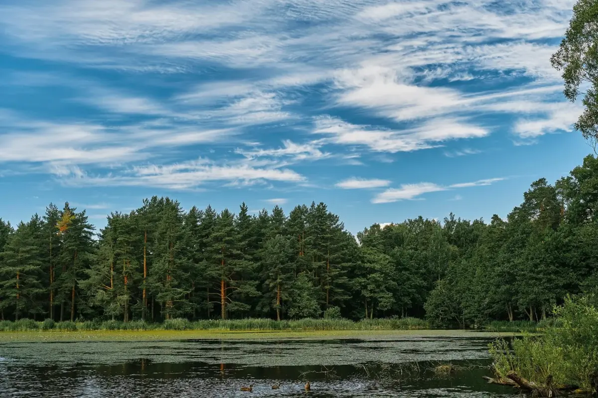 Национальный парк создадут в Нижегородской области в 2024 году