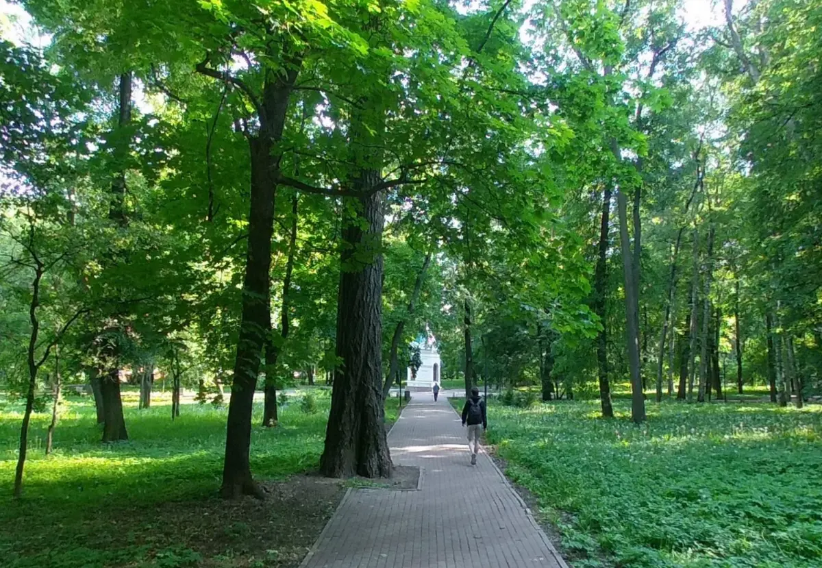 Благоустройство парка Кулибина в Нижнем Новгороде завершится к 15 ноября