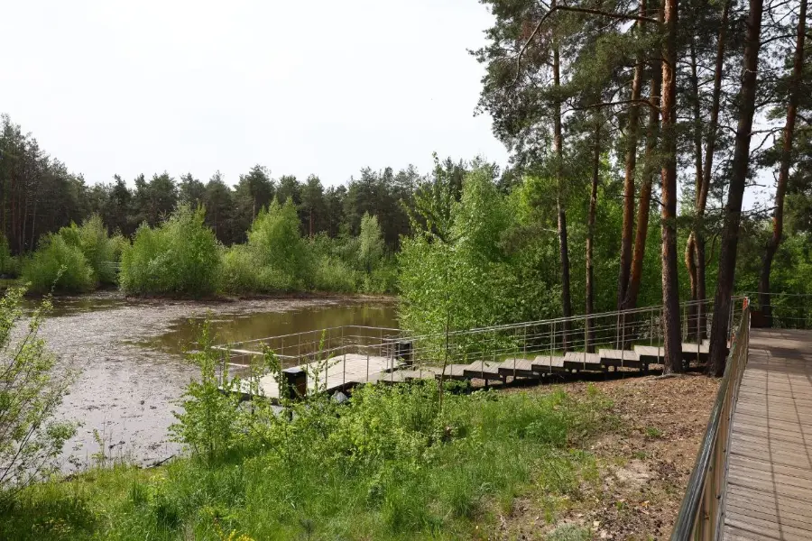 Подготовка к очистке Утиного озера началась в Дзержинске